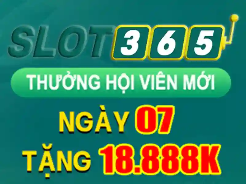 Người chơi trải nghiệm game bài trên điện thoại di động tại Slot365