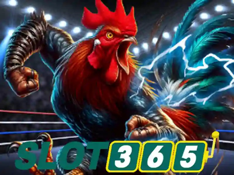 Hướng dẫn Slot365 chi tiết: khám phá trải nghiệm và dịch vụ tuyệt vời